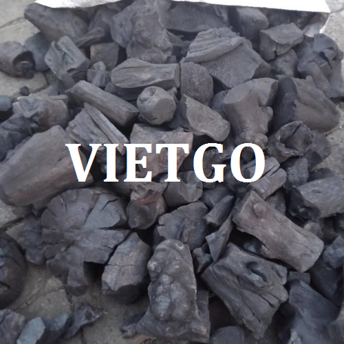 thanden-vietgo-190219